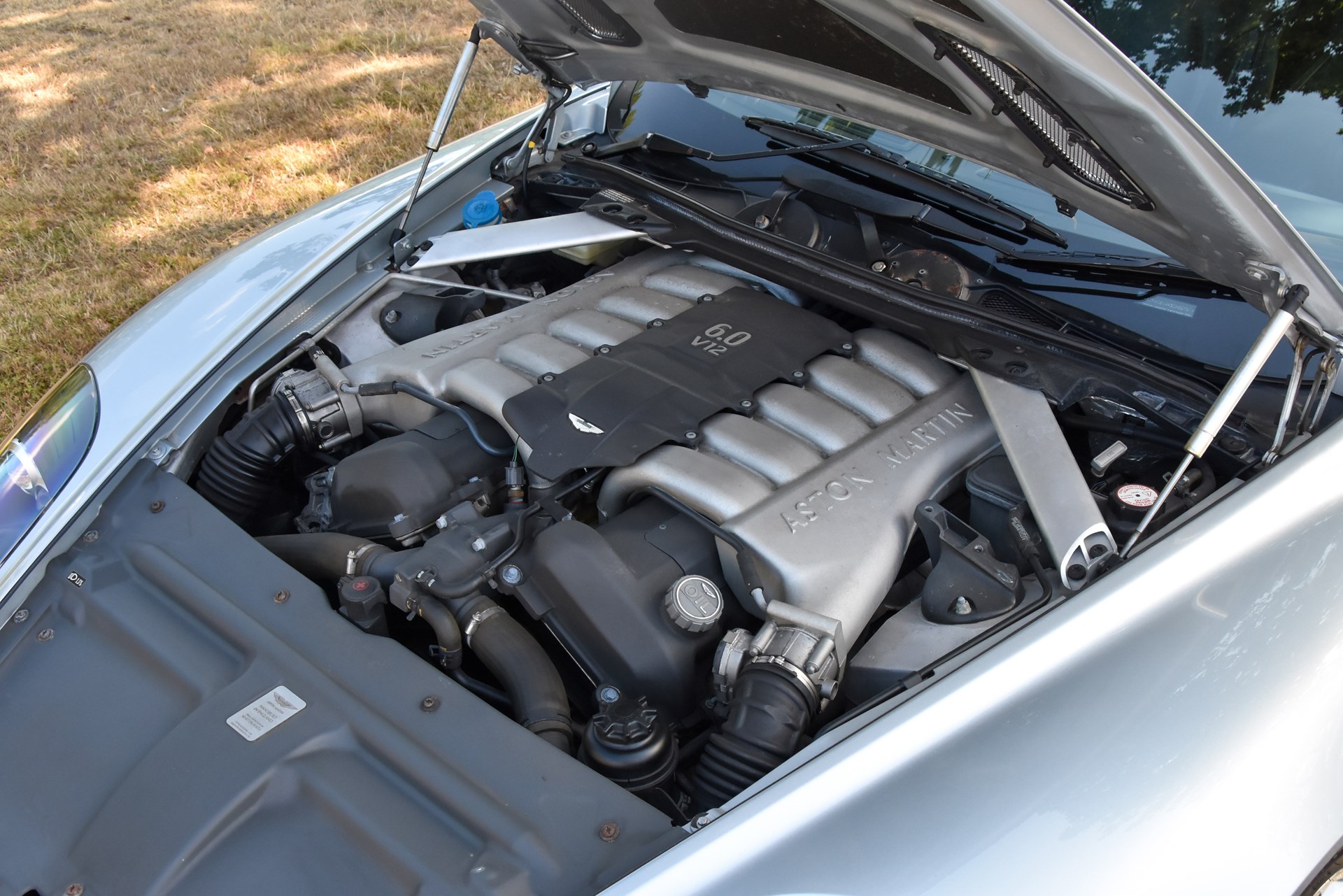 Dentdb9 58