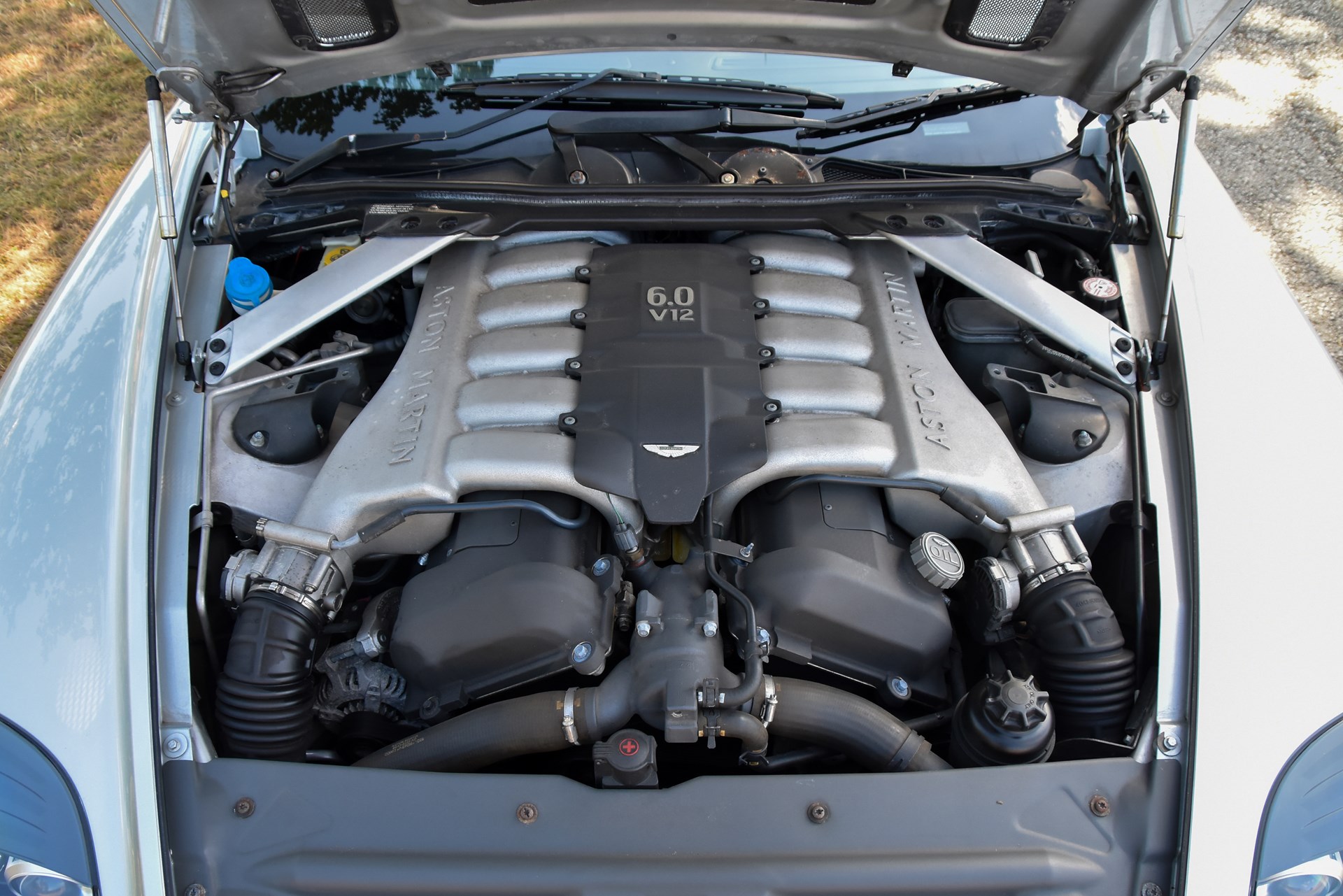 Dentdb9 59