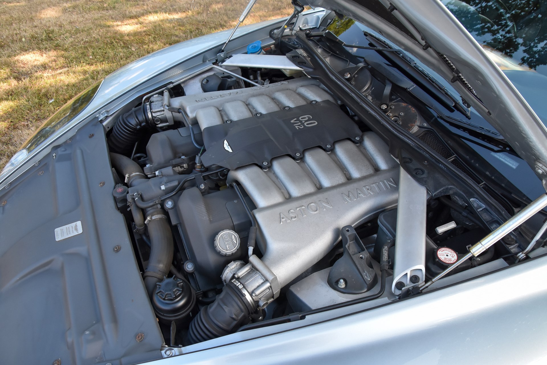 Dentdb9 63