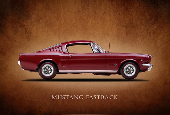 ford-mustang-fastback-1965-mark-rogan